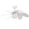 Image de Orbegozo CP 15076 B - Ventilateur de plafond avec lampe, 6 pales en bois, silencieux, 3 vitesses de ventilation, 80 cm de diamètre, 50 W, blanc