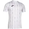 Image de Joma Proteam T-shirt pour homme, blanc, M