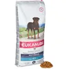 Image de Eukanuba Chien Nourriture sèche Rottweiler Poulet 12kg