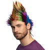 Image de adultes 'Spiky Mike Multicolore Punk Perruque