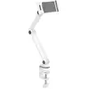 Image de Neomounts DS15-545WH1 Tablet tafelhouder 11,9 cm (4,7) - 32,8 cm (12,9)