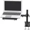 Image de Neomounts NOTEBOOK-D100 Laptopstandaard Kantelbaar, In hoogte verstelbaar