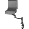 Image de Neomounts DS20-425BL1 Laptopstandaard Kantelbaar, In hoogte verstelbaar