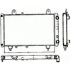 Image de NRF B.V. Radiateur moteur pour FIAT: Talento, Ducato & CITROËN: C25 & PEUGEOT: J5 (Ref: 58749)