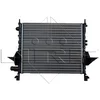 Image de Radiateur nrf 519513