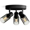Image de Philips Palms 8720169299351 Plafondspot E14 Zwart