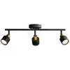Image de Philips Niall 8720169300118 Plafondspot GU10 Zwart, Goud