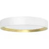 Image de Philips Hanno plafondlamp - SceneSwitch lichttechnologie - 24W - Warmwit licht - Wit met goud design