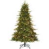 Image de Black Box Trees Boyle Sapin de Noël artificiel avec éclairage LED - H155 x Ø107 cm - Vert