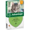 Image de Advantage Kat 40