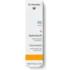 Image de Dr. Hauschka Coverstick 01 Natural