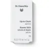 Image de Dr. Hauschka Lip to Cheek Apricot 01