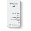 Image de Dr. Hauschka Lip to Cheek Gold 04
