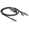 Image de Delock 81271 Câble Y USB-C PD 100W 1,2m