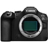 Image de Canon Eos R6 Mark III