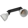 Image de EGLO Rail spot Matlock au design industriel, rampe de 2 spots orientables