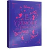Image de Disney Le Grimoire des Princesses