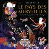 Image de Le pays des merveilles: Carnet fantastique & livre de coloriage: 31612