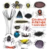 Image de Comment ratatiner les araignées ?