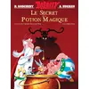 Image de Le secret de la potion magique: Bande dessinée