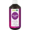 Image de Vitasil Collagen Plus