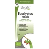 Image de Physalis Aromatherapie Eucalyptus Radiata