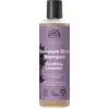 Image de Urtekram Soothing Lavender Shampoo