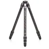 Image de Benro Tortoise 24CLV