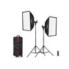 Image de Godox Kit 2 Torches LED SL100D