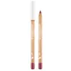 Image de Deborah Milano Pura Lippotlood Bio 7 Violet Raisin