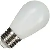 Image de Bailey | LED lamp | Grote fitting E27 | Buislamp | 45mm | 1W