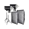 Image de Godox DP400III-C kit 2 torches flash 400Ws
