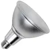 Image de SPL | LED lamp | Grote fitting E27 | Spot | 122mm | 14W