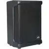 Image de Peavey Solo Battery Powered PA mobiele accu-speaker 90W, 6.5 inch