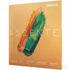 Image de D'Addario A410 XXSM Ascenté Extra-Extra-Short Scale, Medium Tension Altviool snaren set