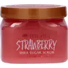 Image de Tree Hut Shea Sugar Scrub Strawberry 510 g