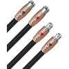 Image de Câbles symétriques XLR Audioquest Black Beauty XLR (2 x 0,6 m)