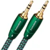 Image de Câbles jack/mini-jack Audioquest Evergreen mini-jack Mâle/Mâle (2 m)