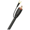 Image de Câbles caisson de basses Audioquest Black Lab (2 m)