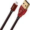 Image de Câbles USB Audioquest Cinnamon USB A vers Lightning (1,5 m)