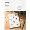 Image de Accessoire CRICUT Printable Vinyl A4-12 sheets Transparent