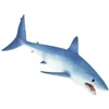 Image de Safari Requin mako