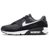 Image de Nike Air Max 90 Leather, Baskets pour femme, Iron Grey White Dk Smoke Grey Black, 45 EU