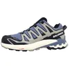 Image de Salomon XA Pro 3D v9 GTX Chaussures multifonctions, Flint Stone Black Ghost Grey L47270600, 47 1/3 EU