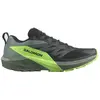 Image de Salomon Chaussures De Trail Running Sense Ride 5