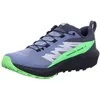 Image de Salomon Sense Ride 5 GTX Flint/B Chaussures de course pour homme, Flint Stone Black Green Gecko, 44 EU