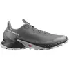 Image de Salomon Chaussures De Trail Running Alphacross 5