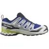 Image de Salomon Chaussures De Trail Running Xa Pro 3d V9