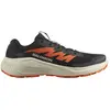 Image de Salomon Chaussures De Trail Running Alphaglide
