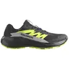 Image de Salomon Chaussures De Trail Running Alphaglide Gore-tex®
